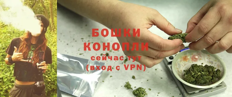 где найти   Куртамыш  МАРИХУАНА SATIVA & INDICA 